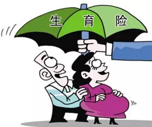 女性生育保險能報多少錢？ 第1張