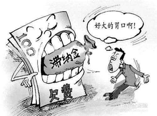 社保滯納金怎么算？ 第1張