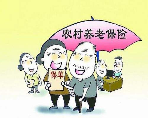 怎么查農村養老保險繳費? 第1張 怎么查農村養老保險繳費? 第1張