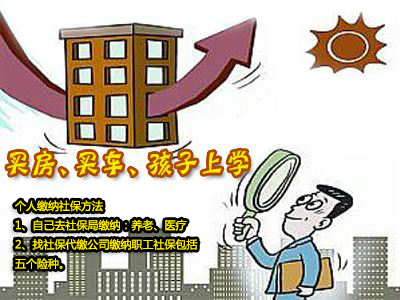 自己個(gè)人如何繳納社保？ 第1張